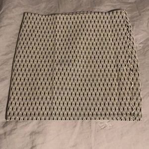 Zara Elastic Waist Skirt